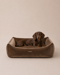 Coffee Brown