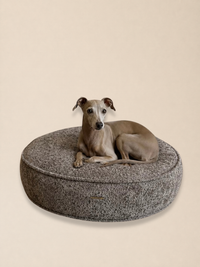 Mocha Bouclé
